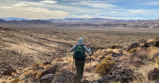 Wisdom From The Wilderness?