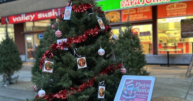 Visit our St. Nick tree image