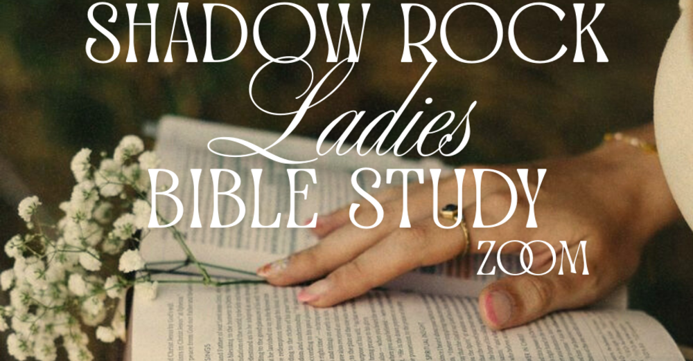 Ladies Bible Study - ZOOM