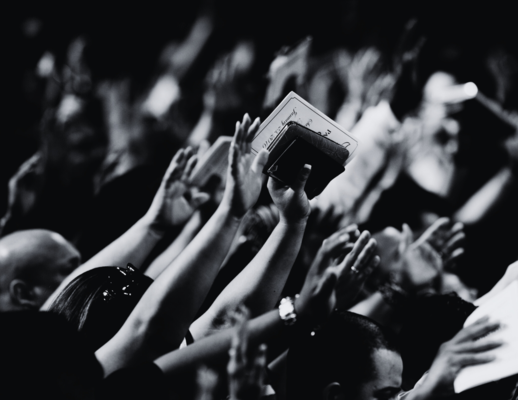 新系列 Our Upcoming Series