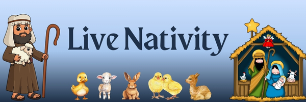 A Magical Christmas Experience!