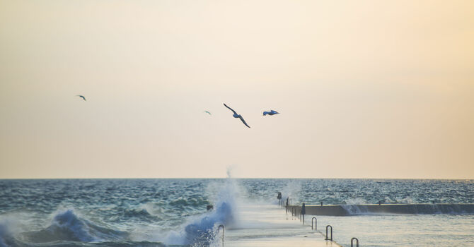 Paul's Journey to Rome image