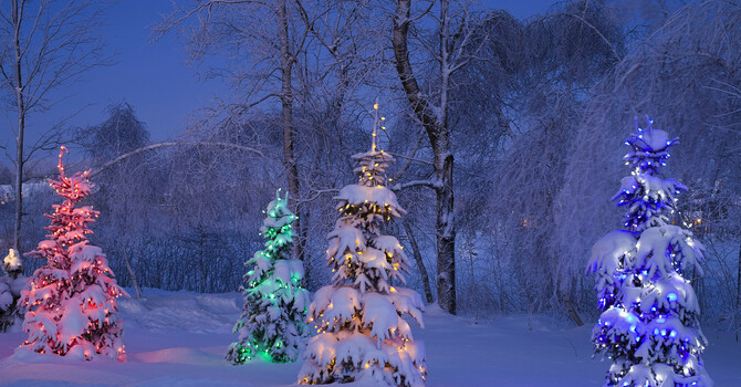 Greshamville Christmas Tree Lighting