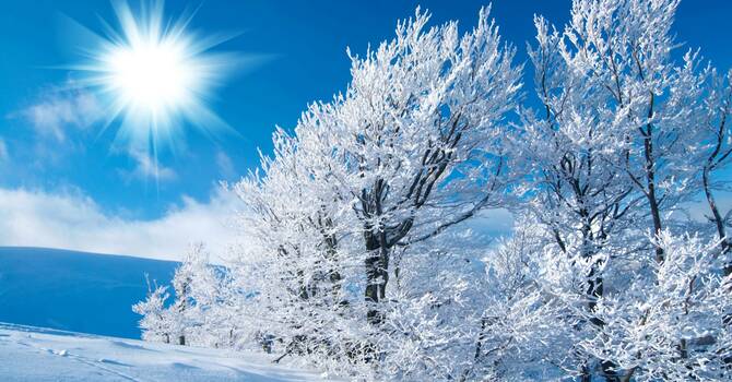 December 4, 2025 Devotion image