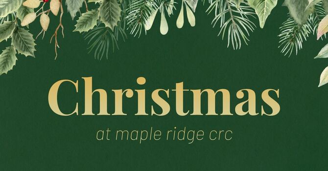 Advent Week 1 (Hope): Light Has Dawned