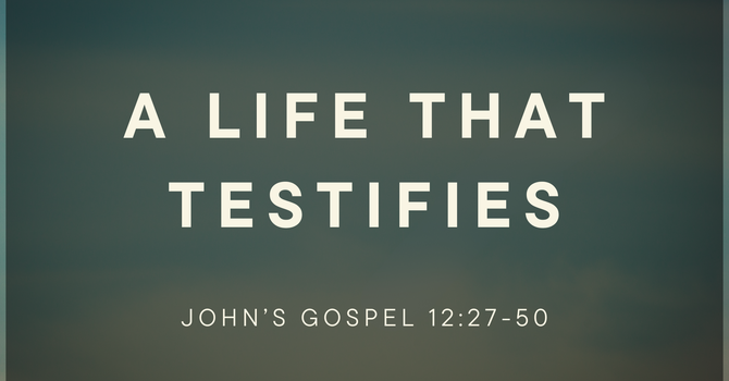 A Life That Testifies