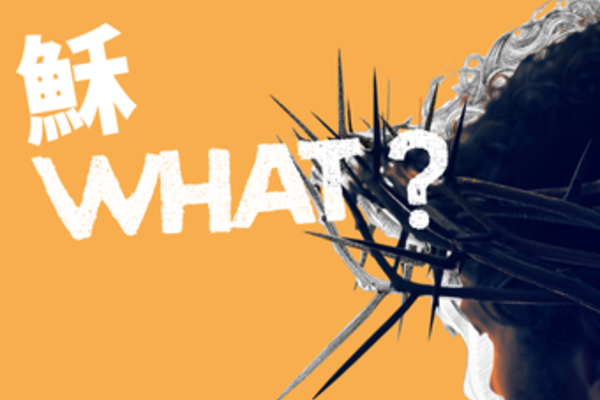 [[ 穌 WHAT !!! ]] 系列 [ So What !!! ] Series   
