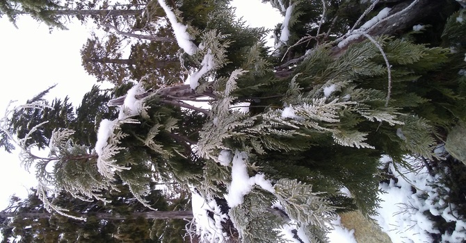 Christmas Day Service