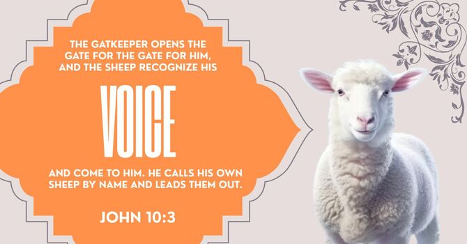 Are You Hearing the Shepherd's Voice? image