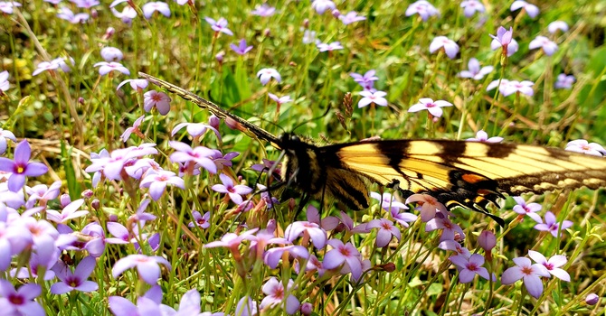 Prayer Exercise: Love Our Enemies image