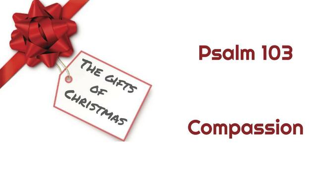 December 7, 2025 image