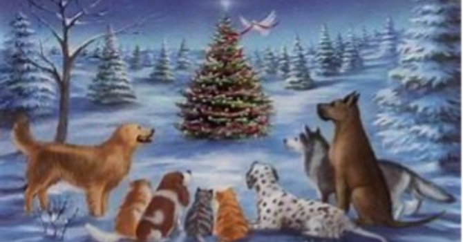 2025 Christmas Giving Tree image