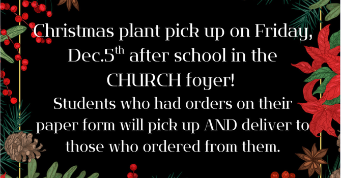 POINSETTIA PICK-UP - Friday, December 5th
