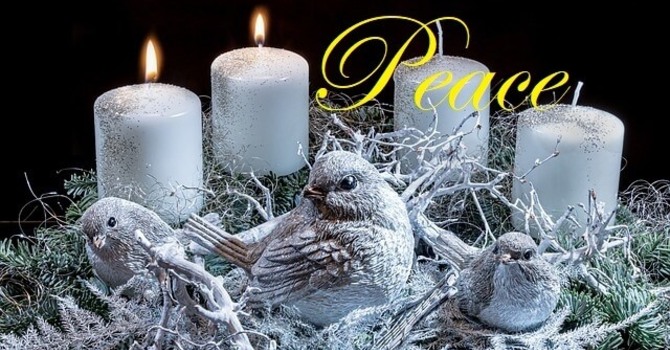 This Sunday's Readings and Order of Service image