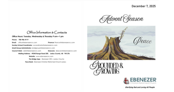 December 7, 2025 Bulletin