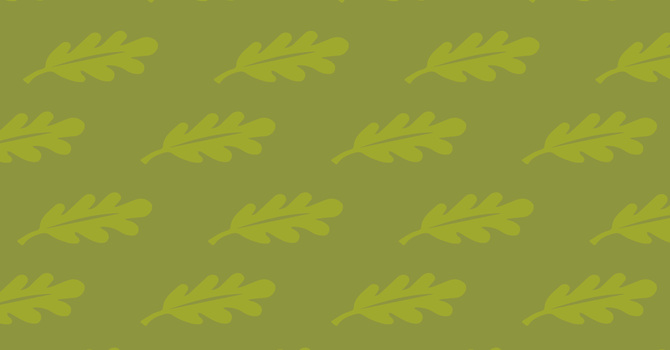 Shameless Persistence