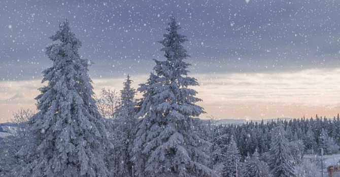 December 5, 2025 Devotion image