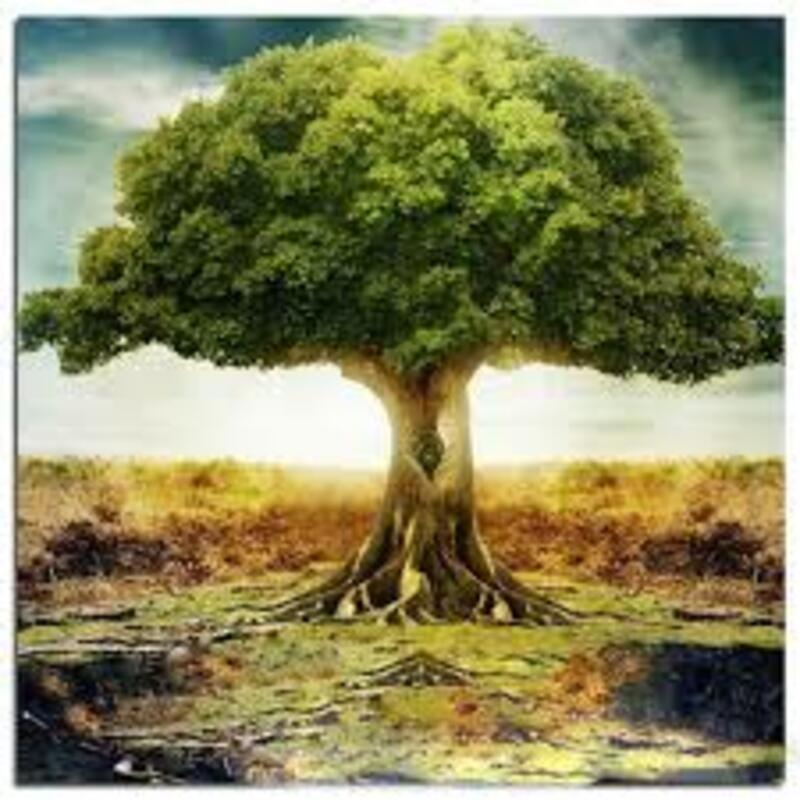 Influencing Your "Kingdom"-Daniel 4