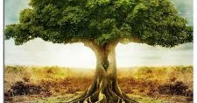 Influencing Your "Kingdom"-Daniel 4