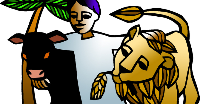 December 7, 2025 image