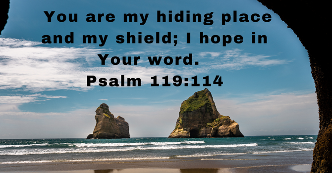 Psalm 119:114 image