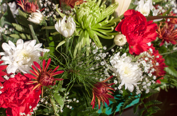 Christmas Flower Campaign is On Now