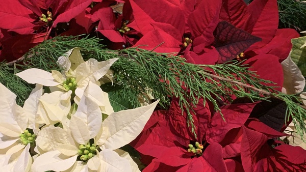 Christmas Memorial Flowers