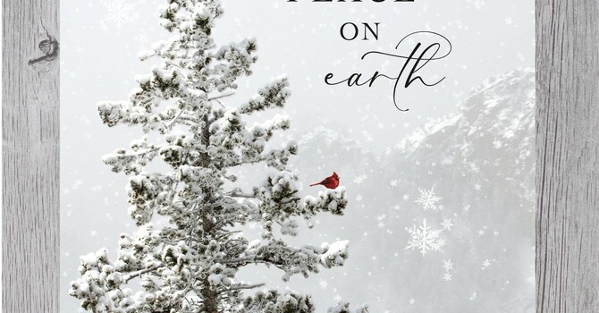 Bulletin December 7th image