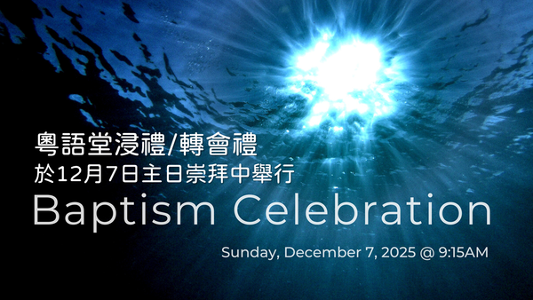浸禮/轉會禮