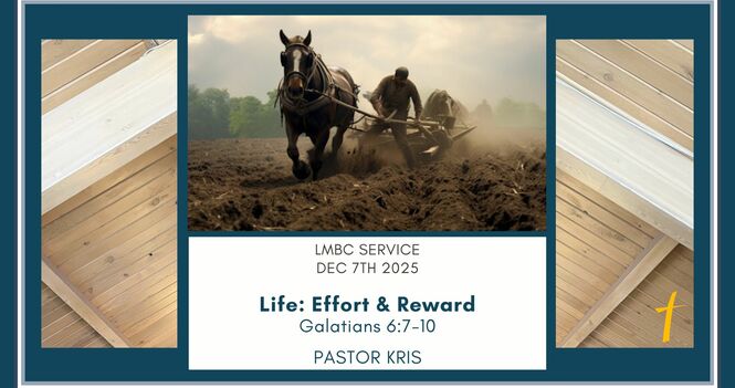 Bulletin for Sunday, December 7th, 2025