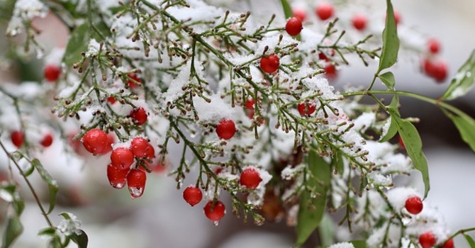 December 6, 2025 Devotion image