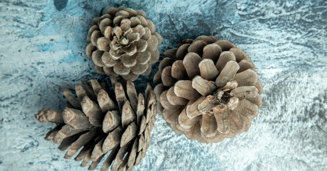 Blue Christmas & Celebrate a Life Service