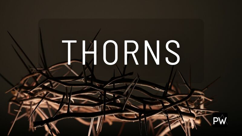 Thorns