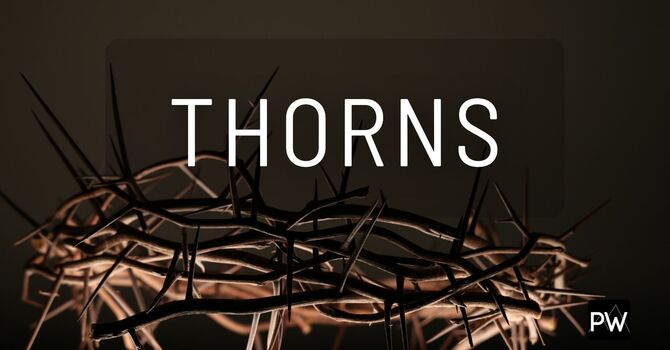 Thorns