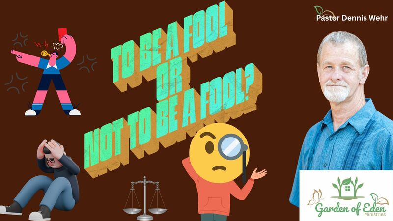 To be a Fool or Not to be a Fool