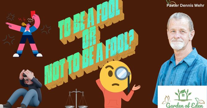 To be a Fool or Not to be a Fool