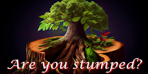 Reflecting on a message from Isaiah and John the Baptist to those who feel "cut down".