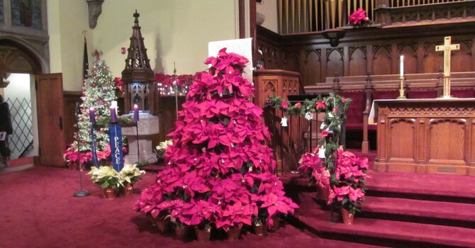 Second Reformed's Sustainability Seminar