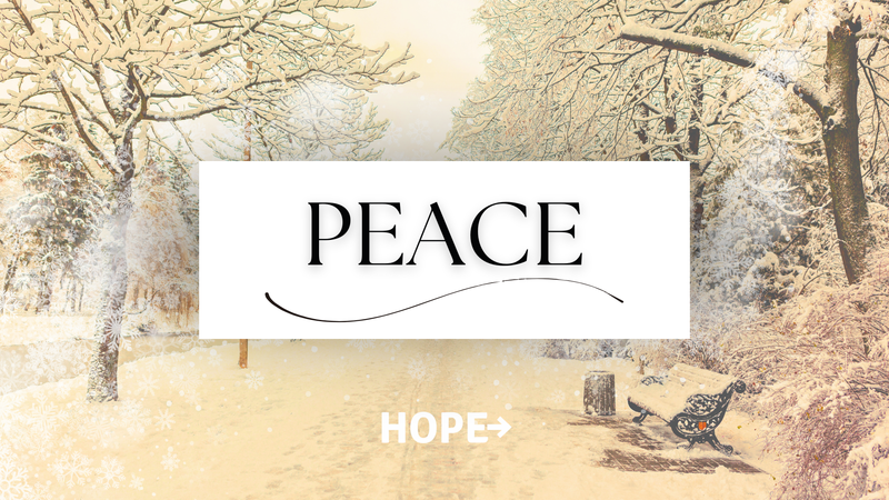 Advent 2025 - Peace