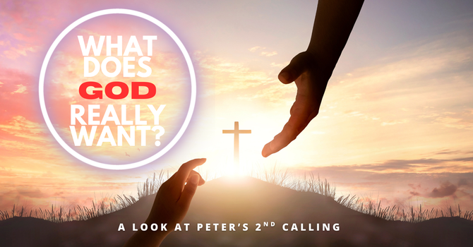 What Does God Really Want? image