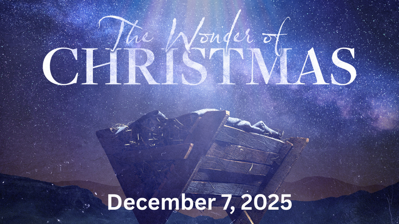 The Wonder of Christmas I Week 2