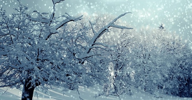 December 8, 2025 Devotion image