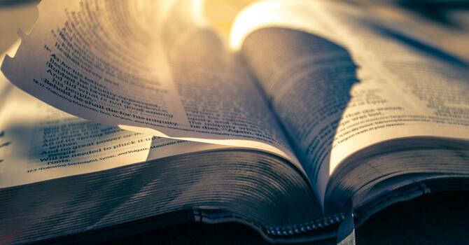 "The Member Ministry"