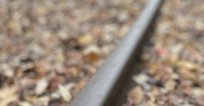 Grief & Loss Support