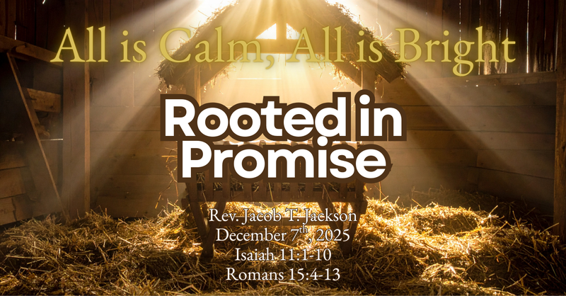 Rooted in Promise