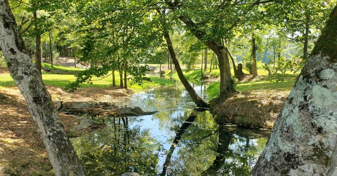 Love Your Enemies: Prayer In Action image