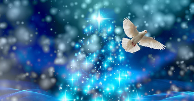 What To Expect When You're Expecting "Peace"