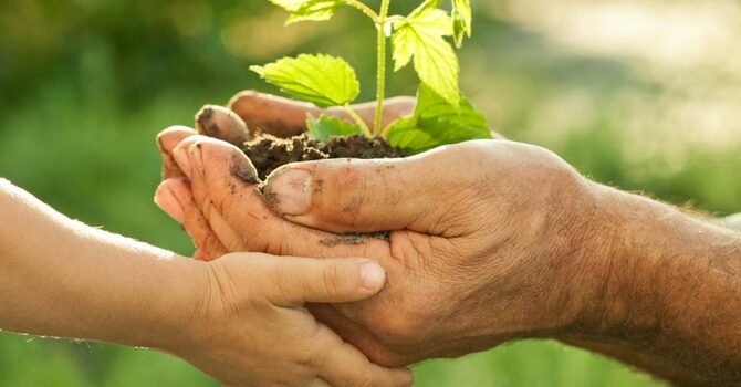 Grace Notes: How's Stewardship? image