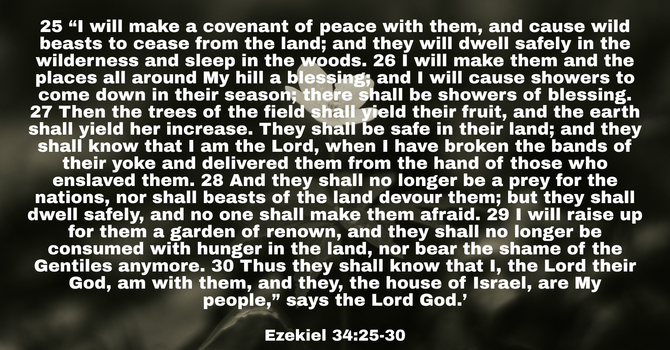 Ezekiel 34:25-30 image