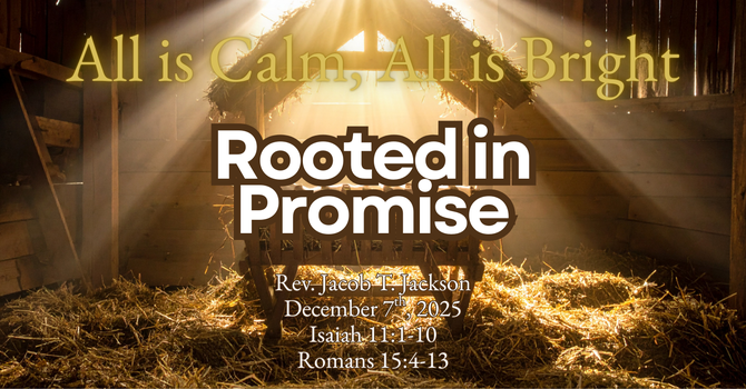 Rooted in Promise